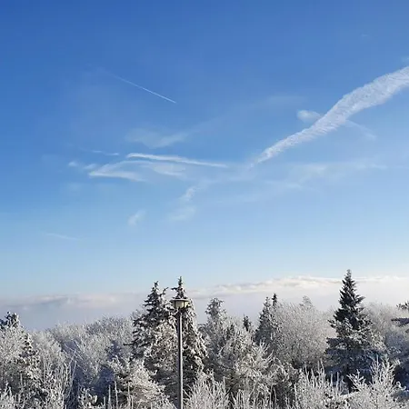 Marthas Stuebchen Apartment Altenberg (Erzgebirge)