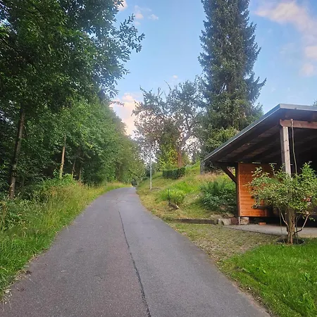 شقة Marthas Stuebchen Altenberg