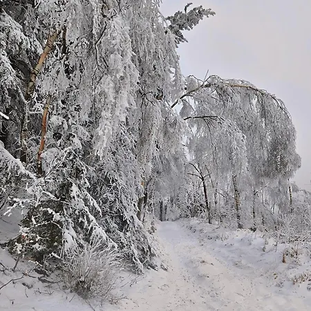 شقة Marthas Stuebchen Altenberg