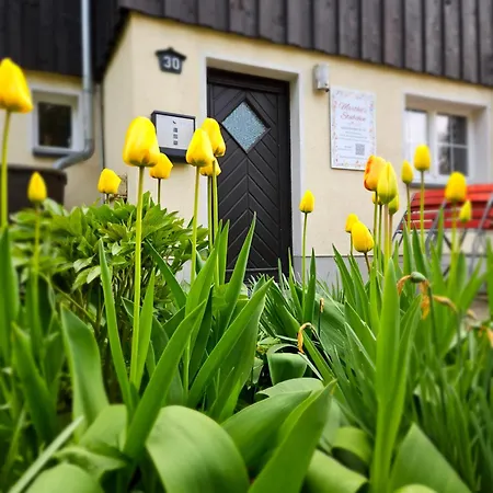 Marthas Stuebchen شقة