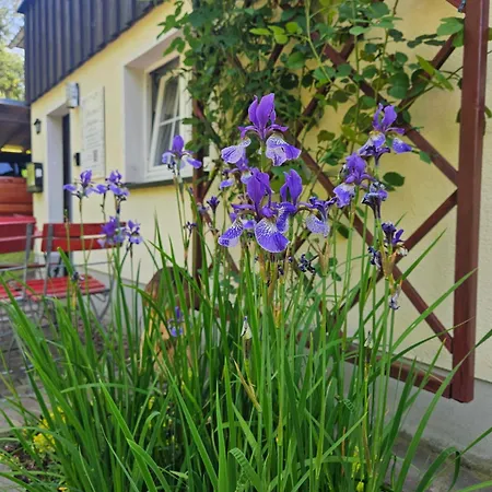 Marthas Stuebchen 库罗阿尔滕堡