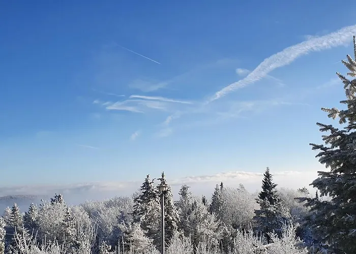 Marthas Stuebchen Apartment Altenberg