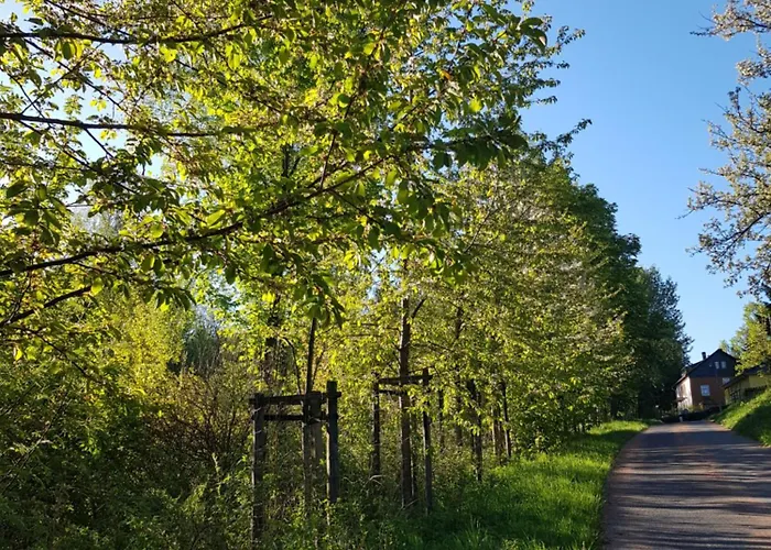 Apartment Marthas Stuebchen