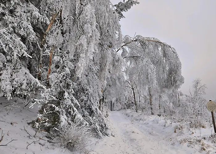 Apartment Marthas Stuebchen Altenberg