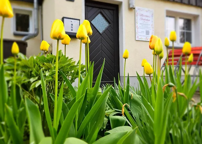 Marthas Stuebchen Apartment