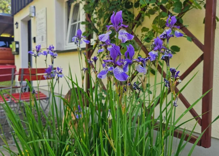 Marthas Stuebchen Altenberg